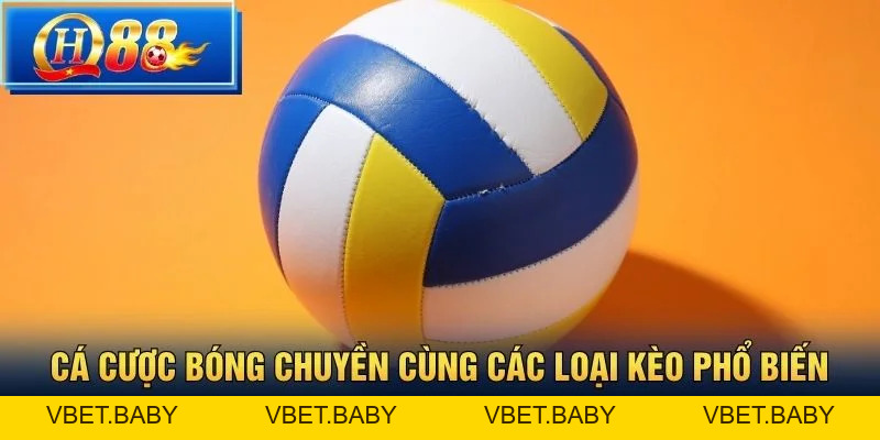 Cá Cược Bóng Chuyền tại QH88 - Hướng dẫn toàn diện 2026 - Vbet