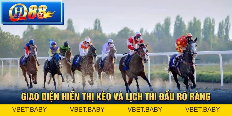 Cá Cược Đua Ngựa QH88 – Hướng Dẫn và Kinh Nghiệm Thắng Cược - Vbet