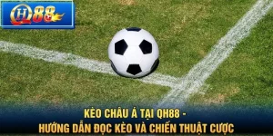 Thể thao QH88 – Sảnh Cá Cược Trực Tuyến Đa Dạng Môn Thể Thao - Vbet