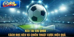 Thể thao QH88 – Sảnh Cá Cược Trực Tuyến Đa Dạng Môn Thể Thao - Vbet